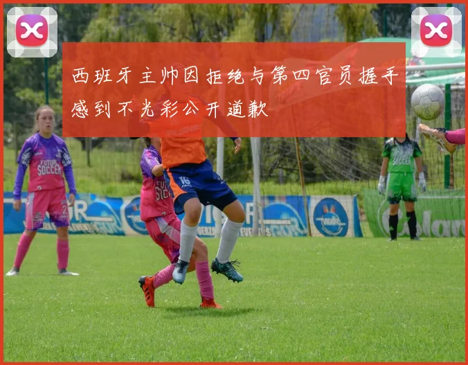 西班牙主帅因拒绝与第四官员握手感到不光彩公开道歉
